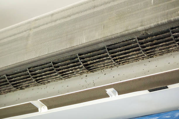 Best HVAC Air Duct Cleaning  in Contoocook, NH